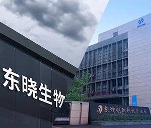 霍爾斯 × 東曉生物 | 以科技助力農業價值升級